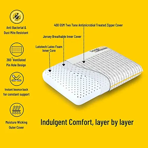 SleepSmith Premium Mattress, 3 Zoned Orthopedic Memory Foam Mattress, 8 Inch with 2 Pillows Graphite Infused Cloud Foam, Active Cooling White Mattress Combo Set, -75" X 60" x 6 Inches, (Queen Size)