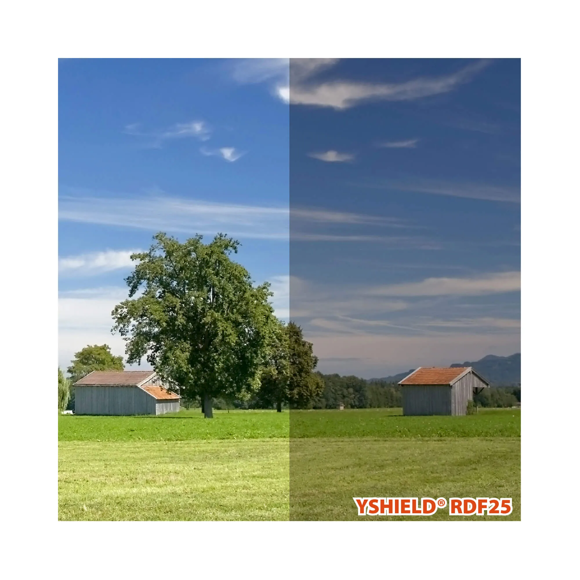 YSHIELD® RDF25 | Window film | Width 152 cm | Length 1m